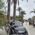 MERCEDES 300 C SEDAN W186-AÑO 1956 (2)